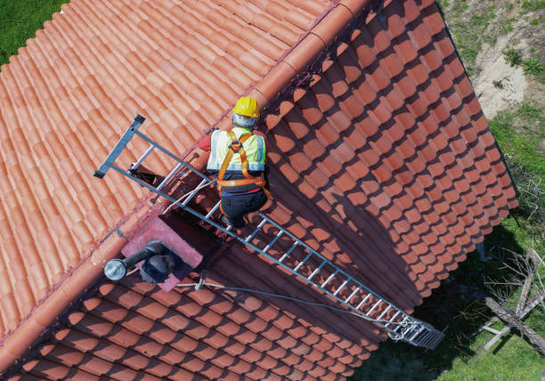 Best Roof Leak Repair  in Woodstock, VA